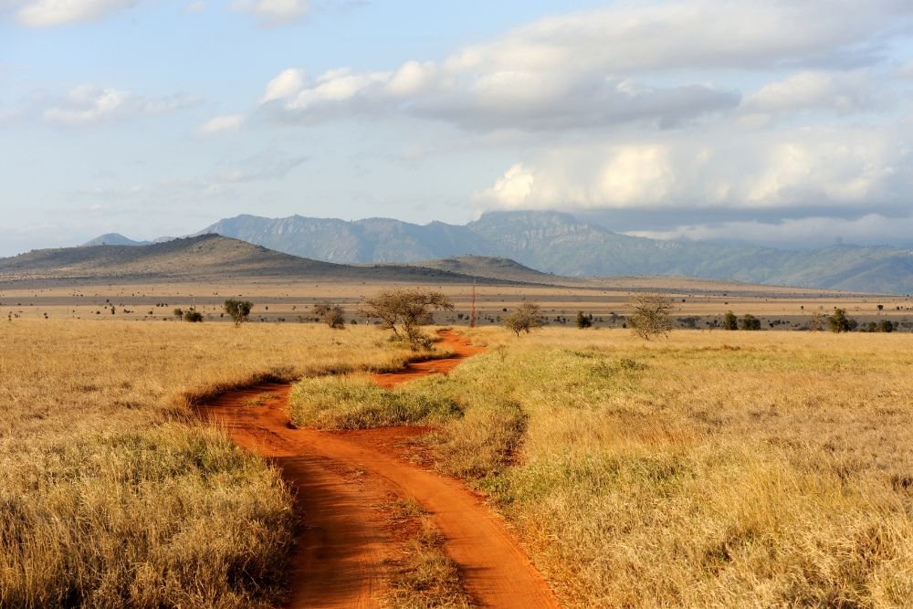 Why You Should Visit South Africa This Year